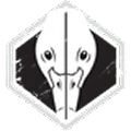 Snow Goose icon from TacMaps
