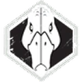 Tufted Duck icon from TacMaps