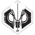 Wood Duck icon from TacMaps